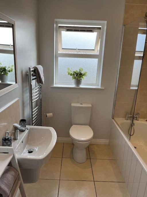 Corran Mews Apartamento Larne Exterior foto